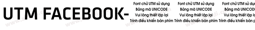 UTM FACEBOOK字体转换